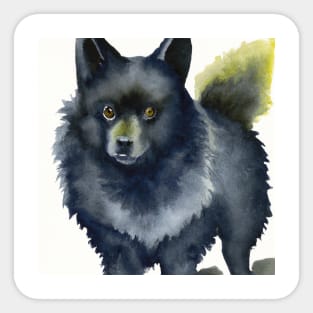 Schipperke Watercolor - Dog Lovers Sticker